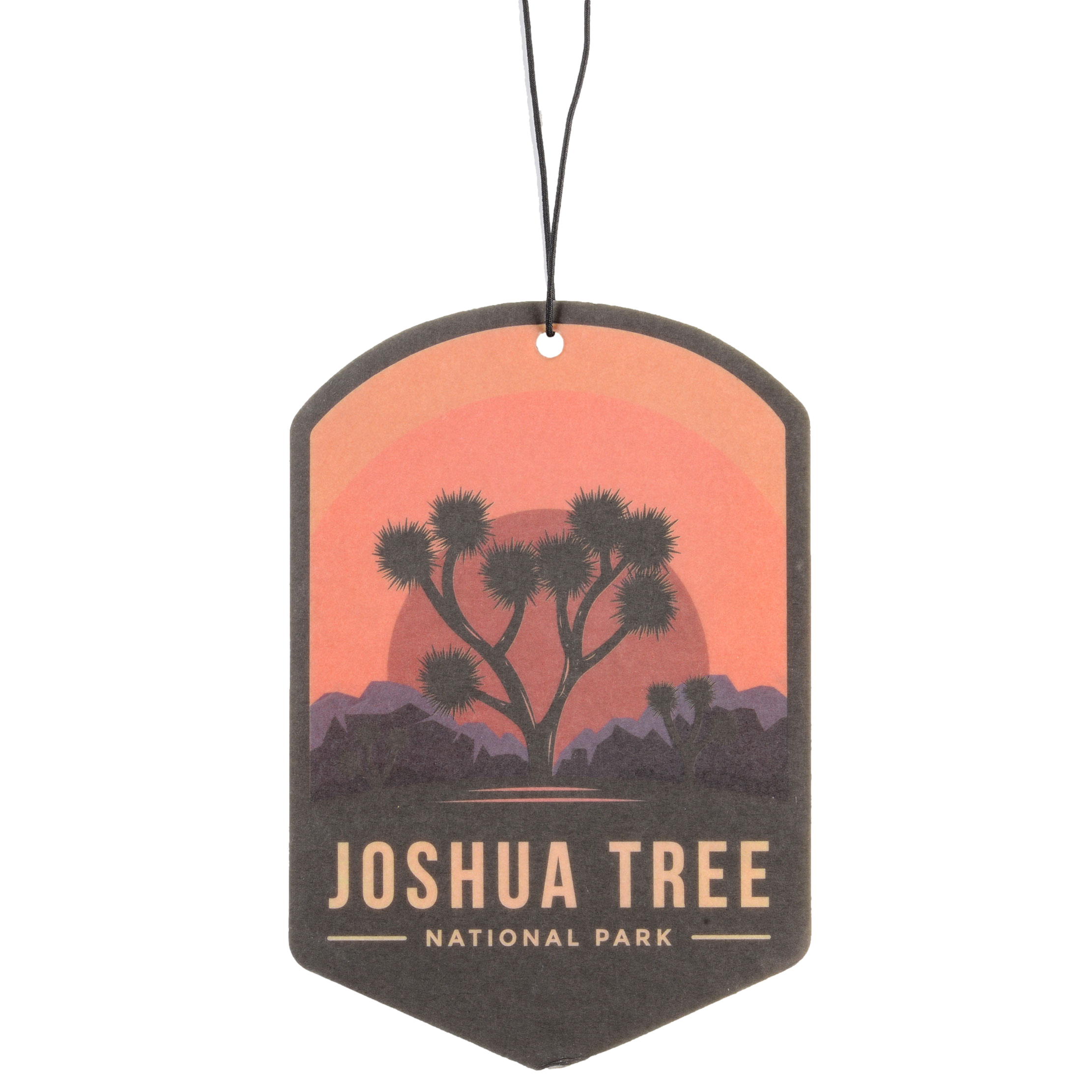 Joshua Tree National Park