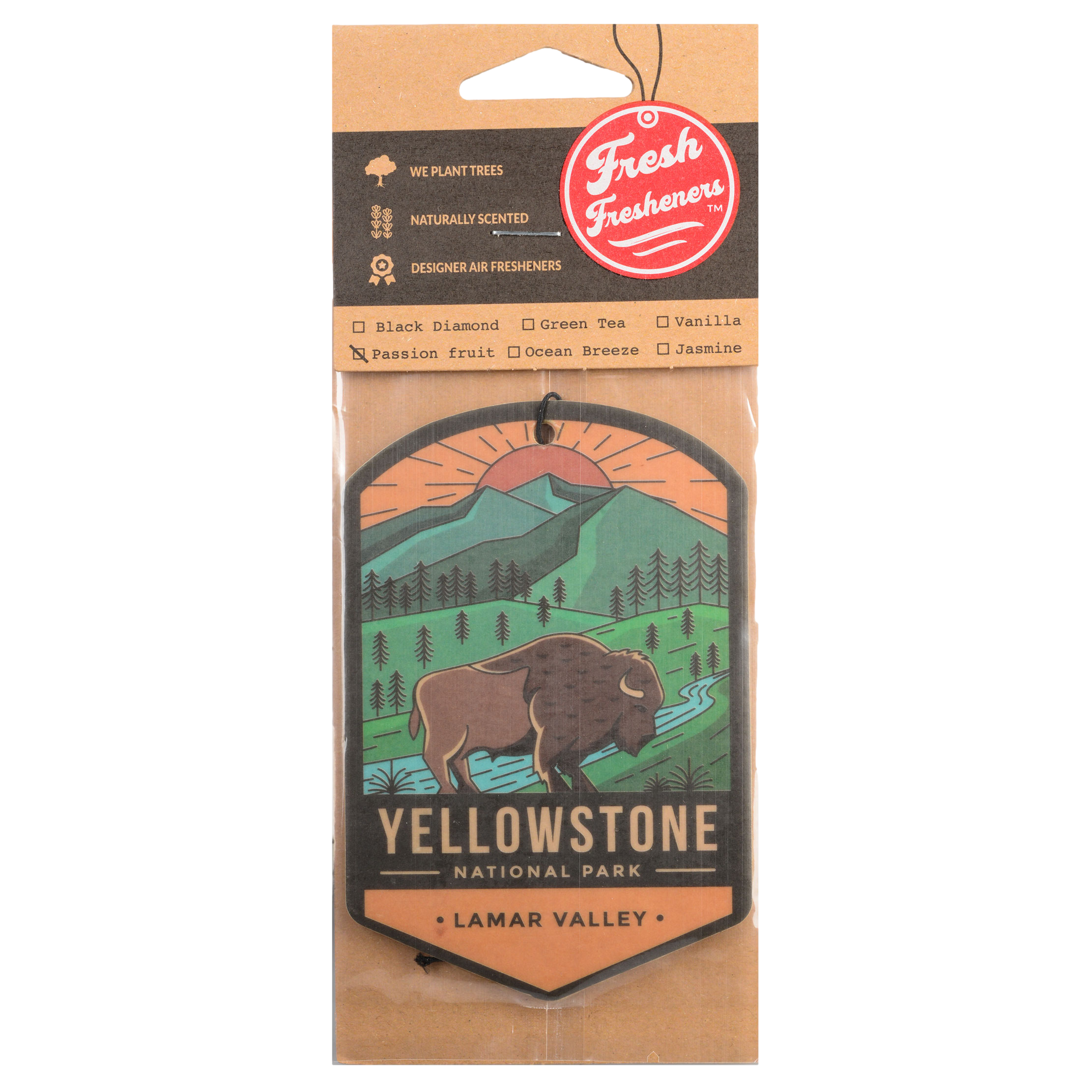 Yellowstone National Park