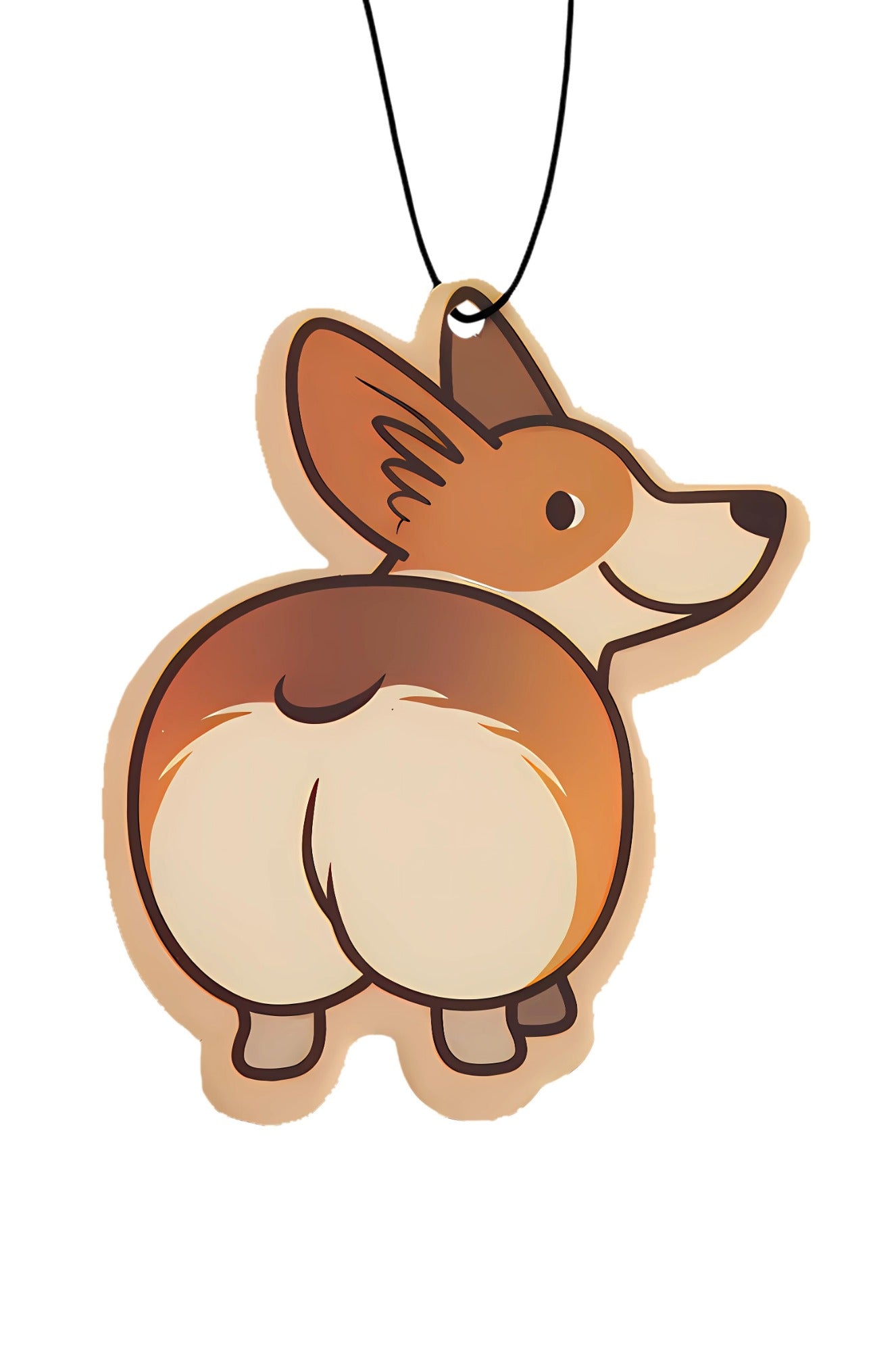 Corgi Butt