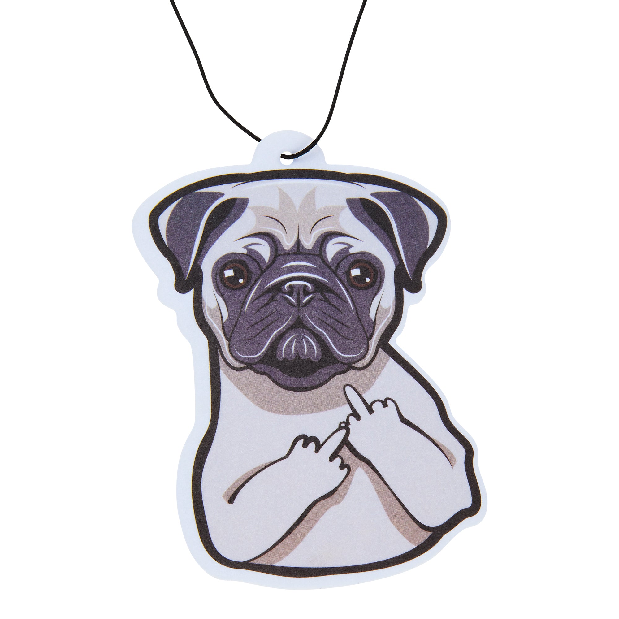 Pug with an Attitude