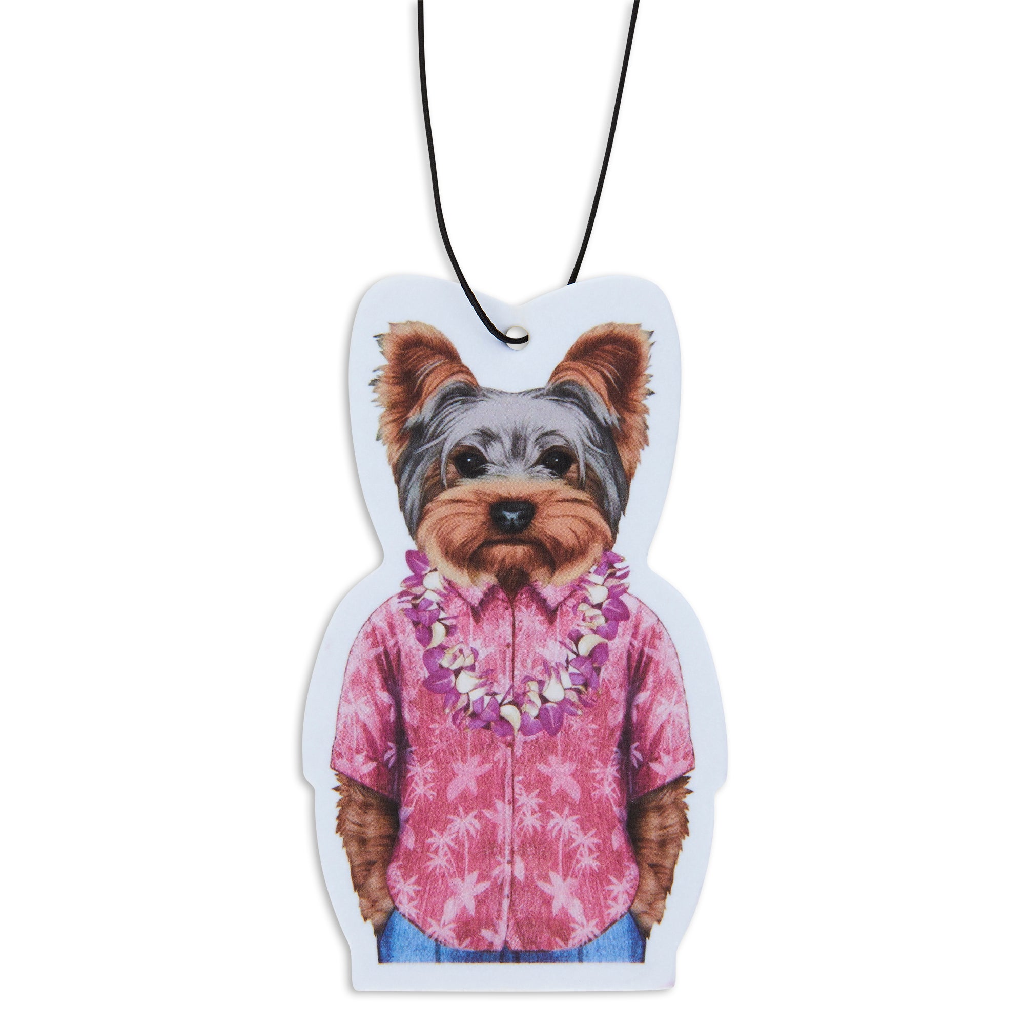 Yorkie In Hawaii