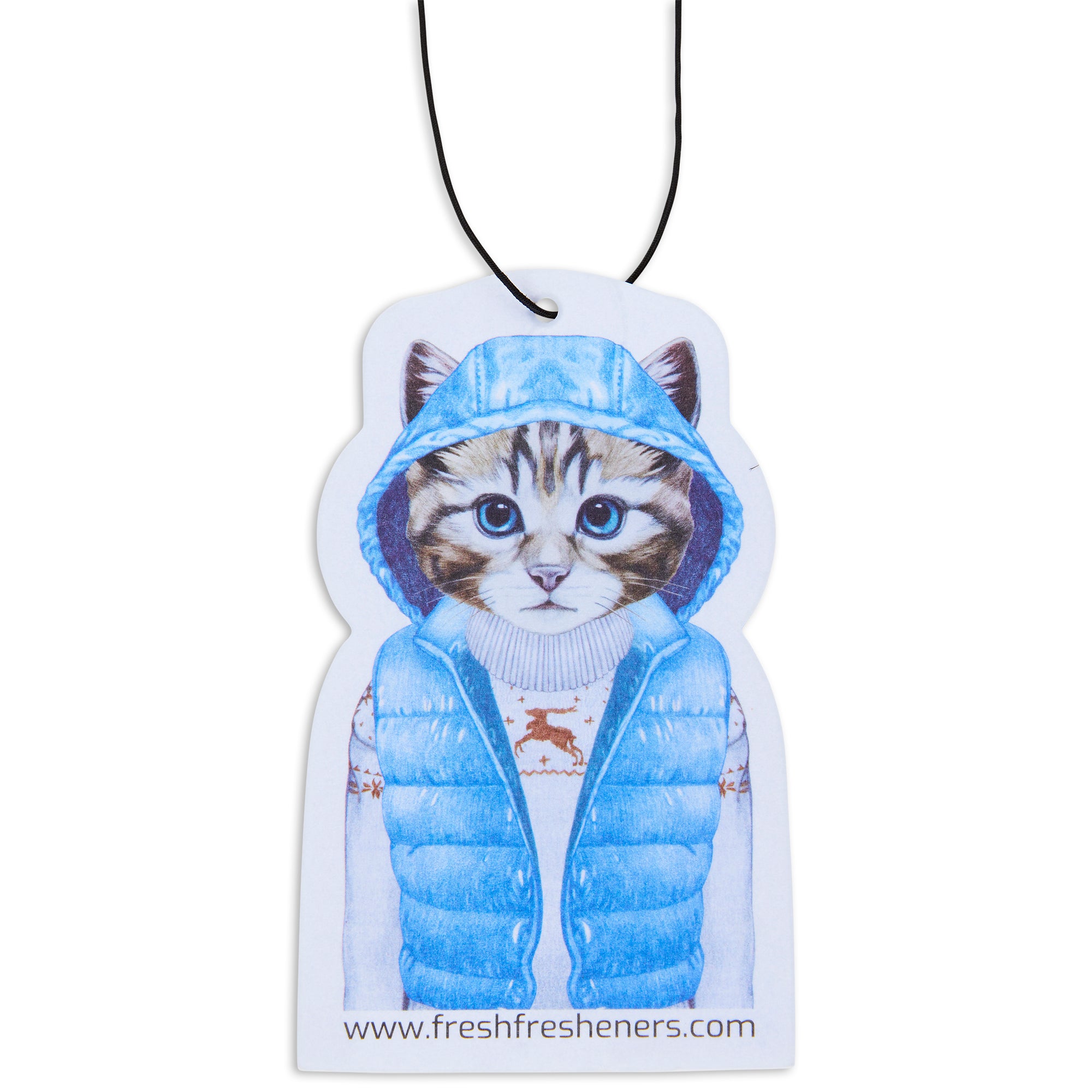 Winter Cat
