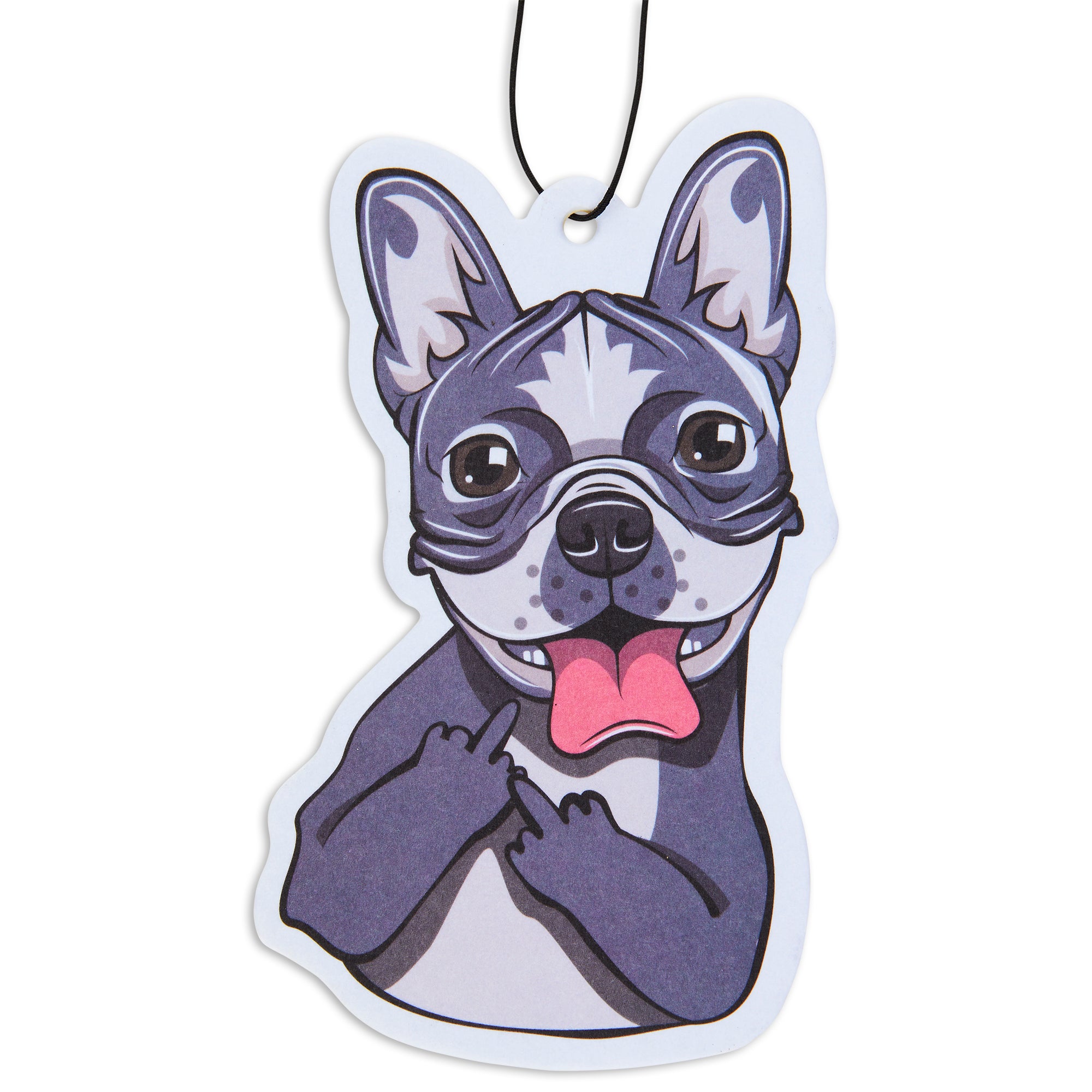 Frenchie with an Attitude